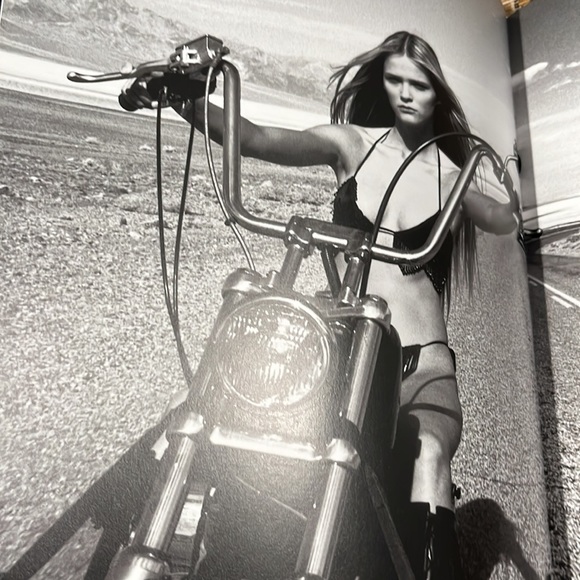 Serge Normant Metamorphosis Hardcover Photographs Book EXC - Picture 9 of 16